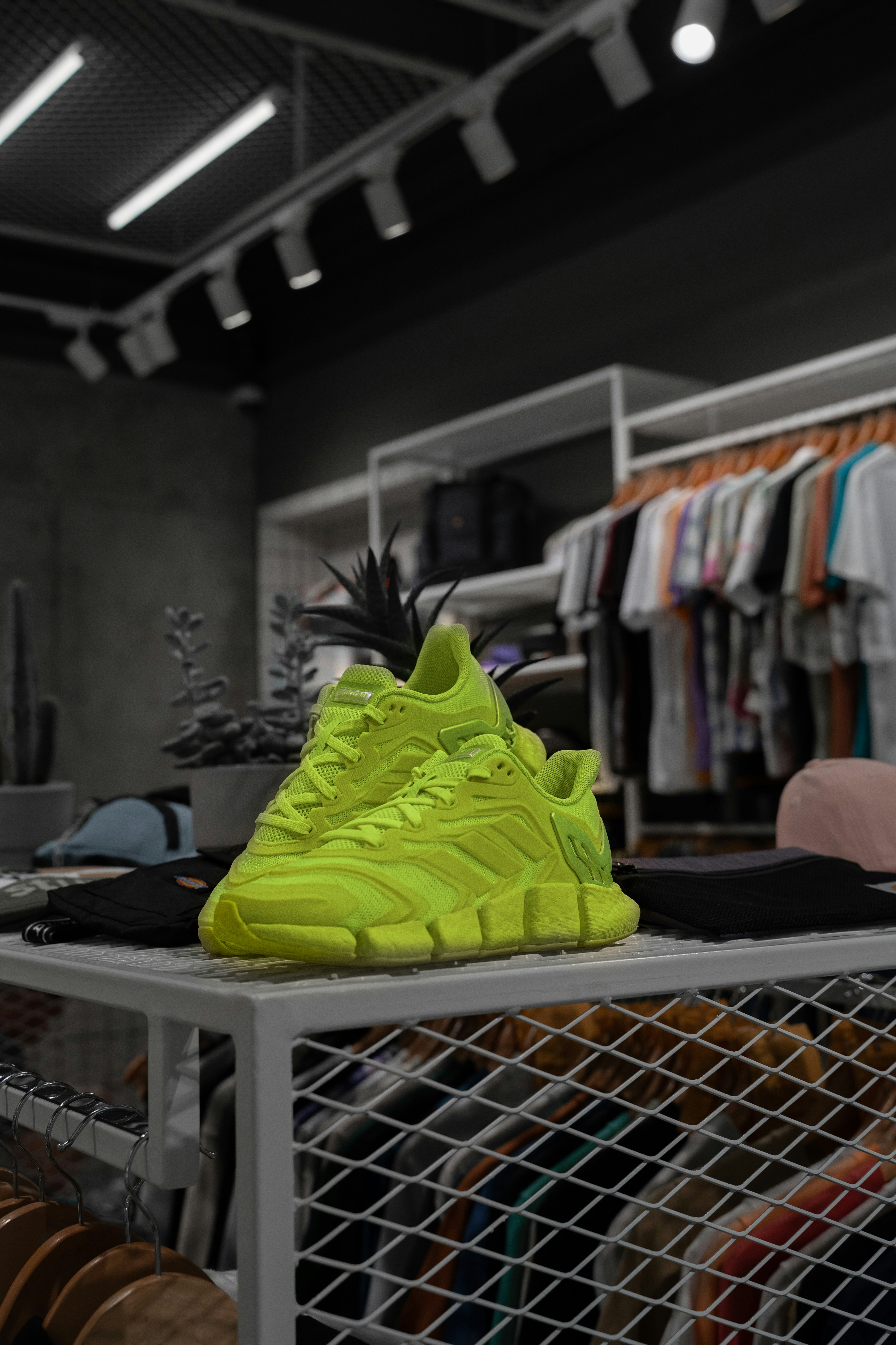 Sneakers (Lemon)